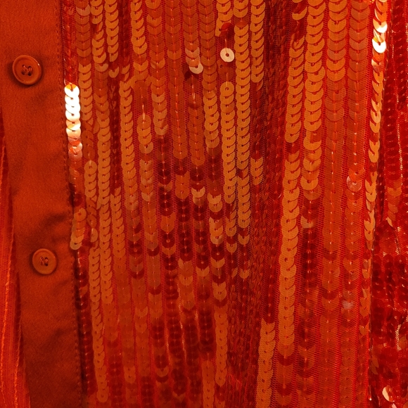 Zara Sequined Button Down Blouse - Picture 2 of 6